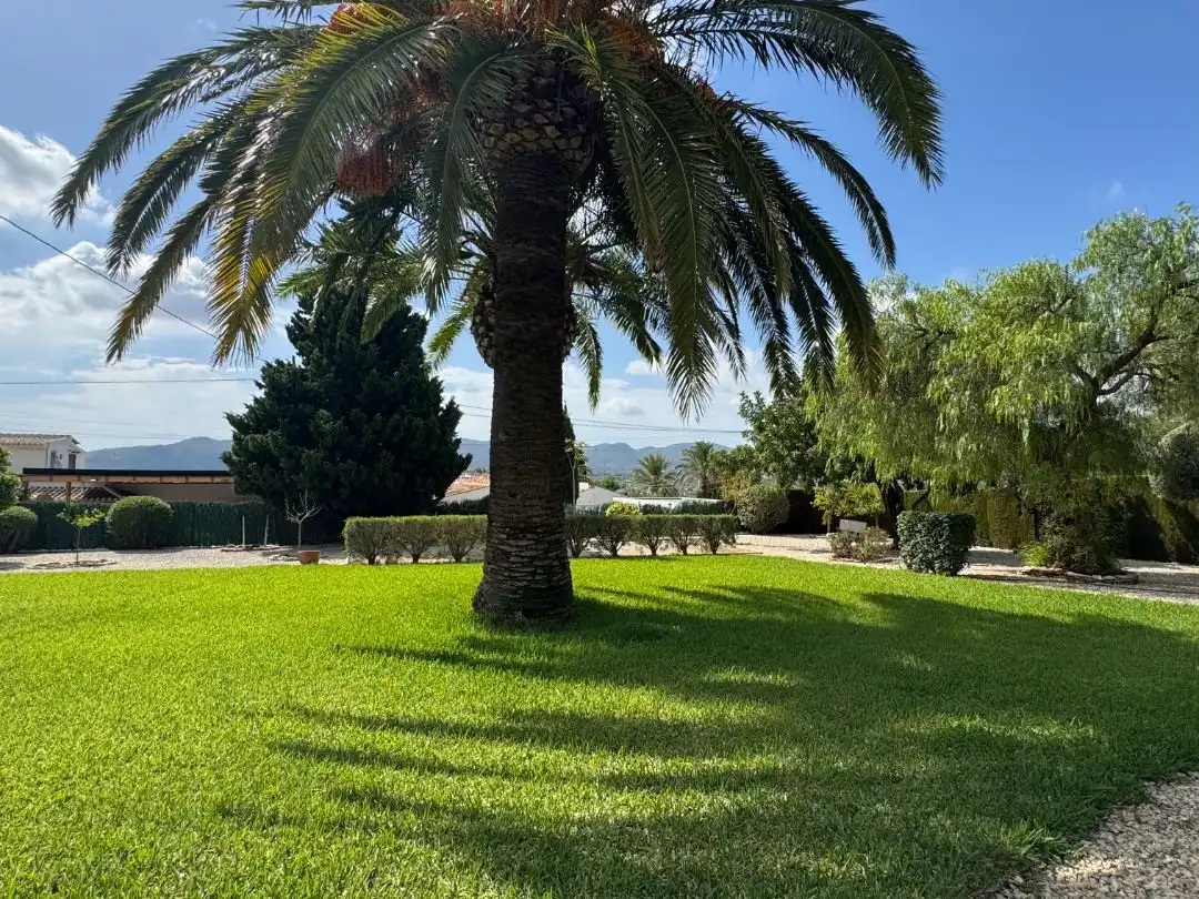 Jardín de Casa o chalet en venta en Montgó - Ermita