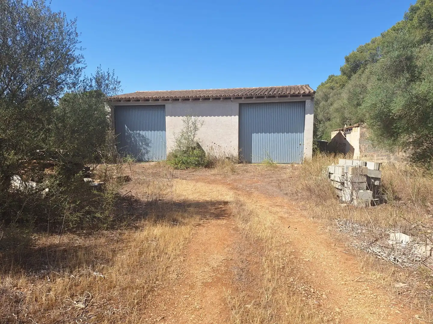 Terreno rustico in vendita a Algaida