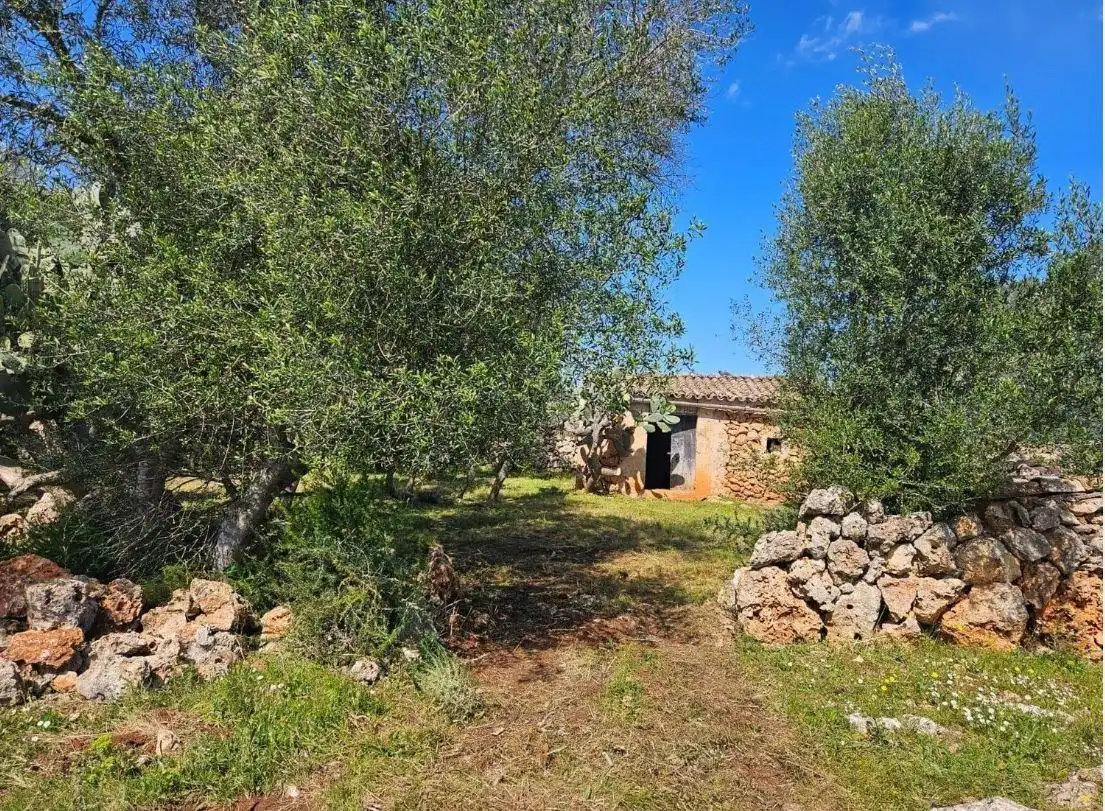 Wohnbaugrundstück zum Verkauf in Costitx, imagen 2