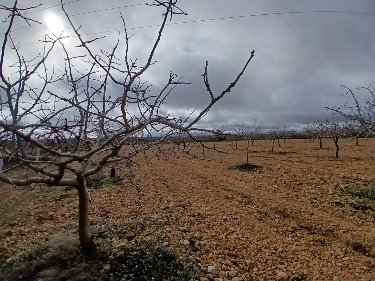 Rural land for sale in Carretera Solana, imagen 18