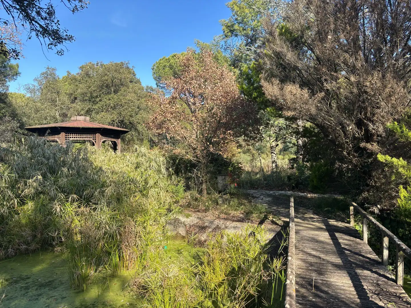 Finca rústica en venta en La Pera con Jardín privado, Trastero y Piscina