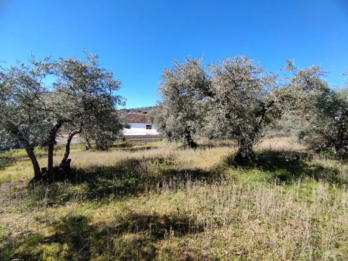 Terreni e lotti in vendita a Jaraíz de la Vera, imagen 3
