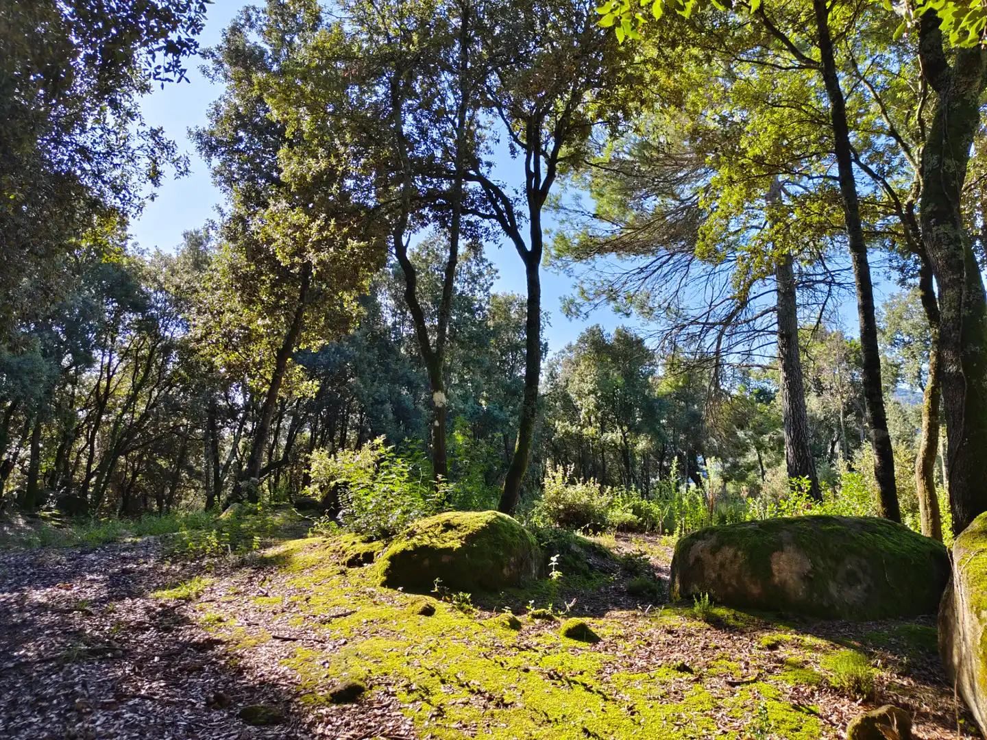 Casa o chalet en venta en Carrer del mig, Sant Aniol de Finestres