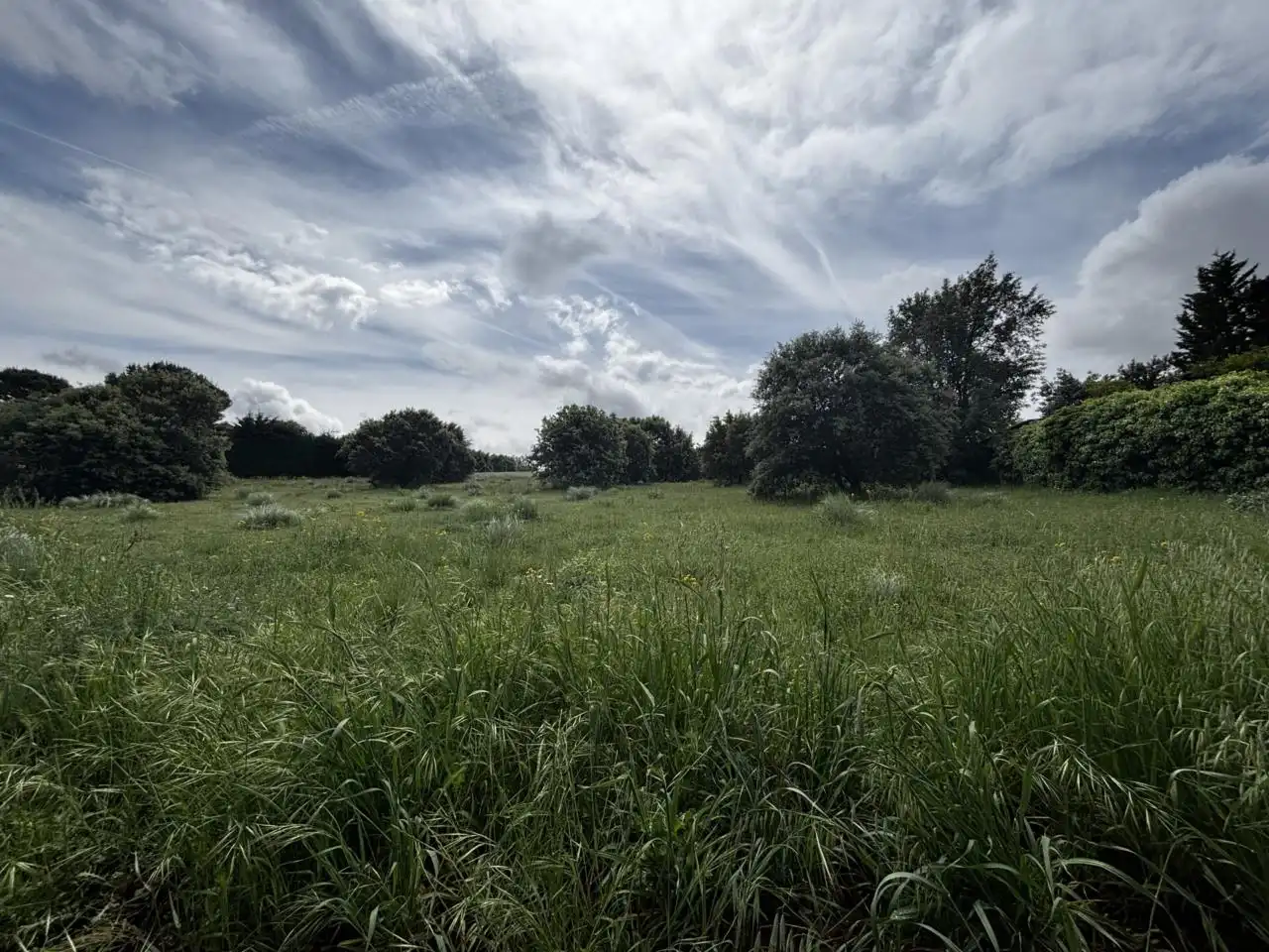 Terrain résidentiel à vendre à Calle Valdehondillo 72, imagen 2