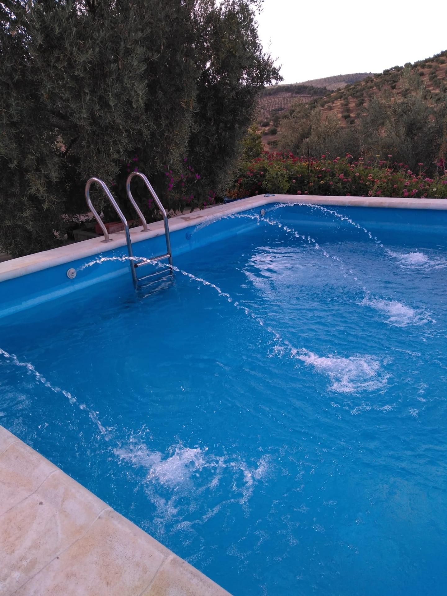 Piscina de Finca rústica en venda en Pozoblanco amb Jardí privat, Terrassa i Traster