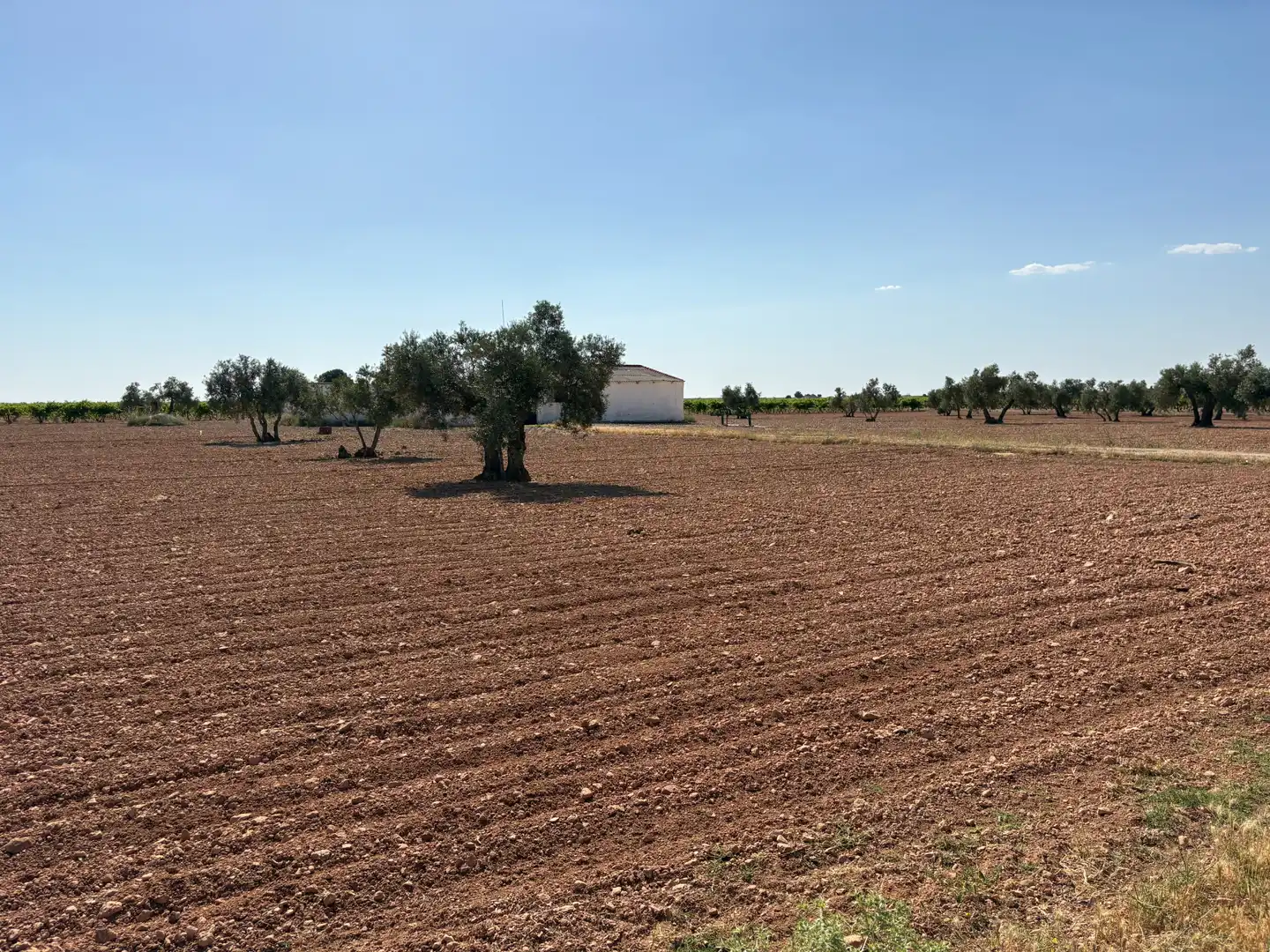 Terreno rústico en venta en CM-3102 9, imagen 5
