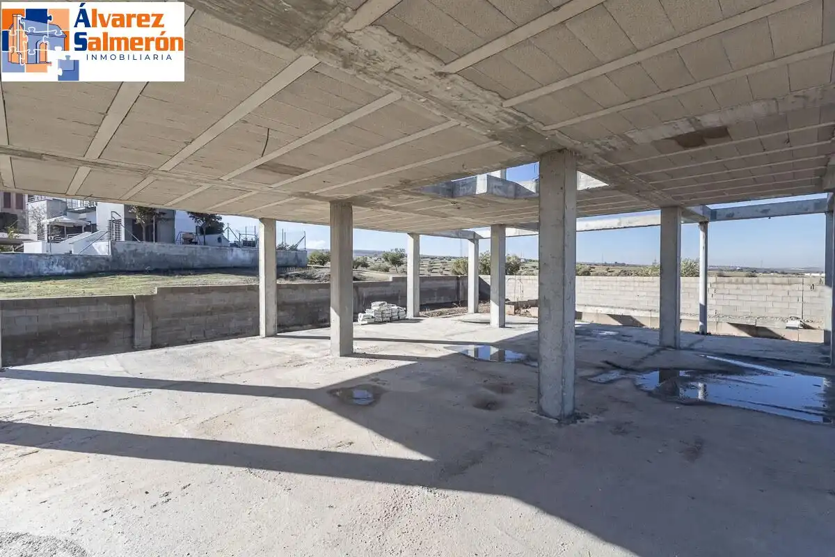 Villa con piscina in vendita a Paseo Paseo del Agua, 35, imagen 19
