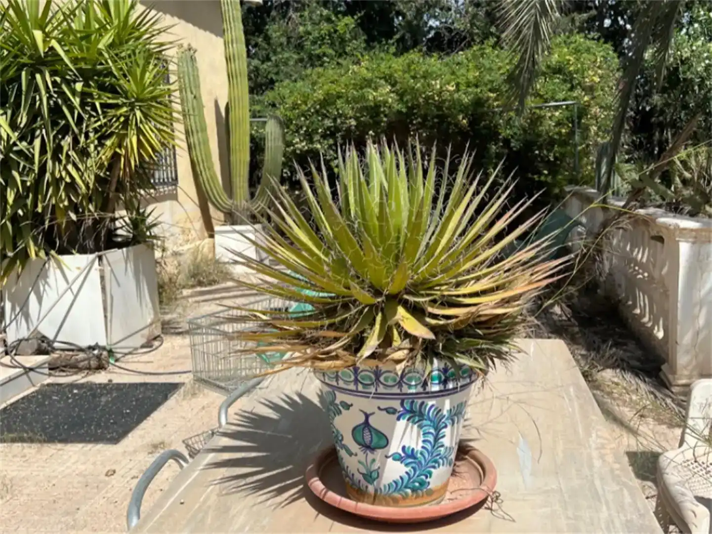 Jardí de Finca rústica en venda en Purchena amb Piscina