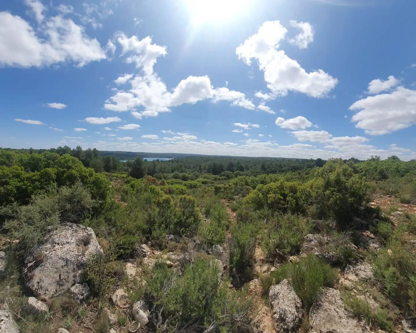 Rural land for sale in Pantano de Peñarroya 0, imagen 4