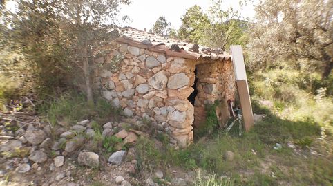 Zona rural tranquila en el Pinell de Brai., immagine 4