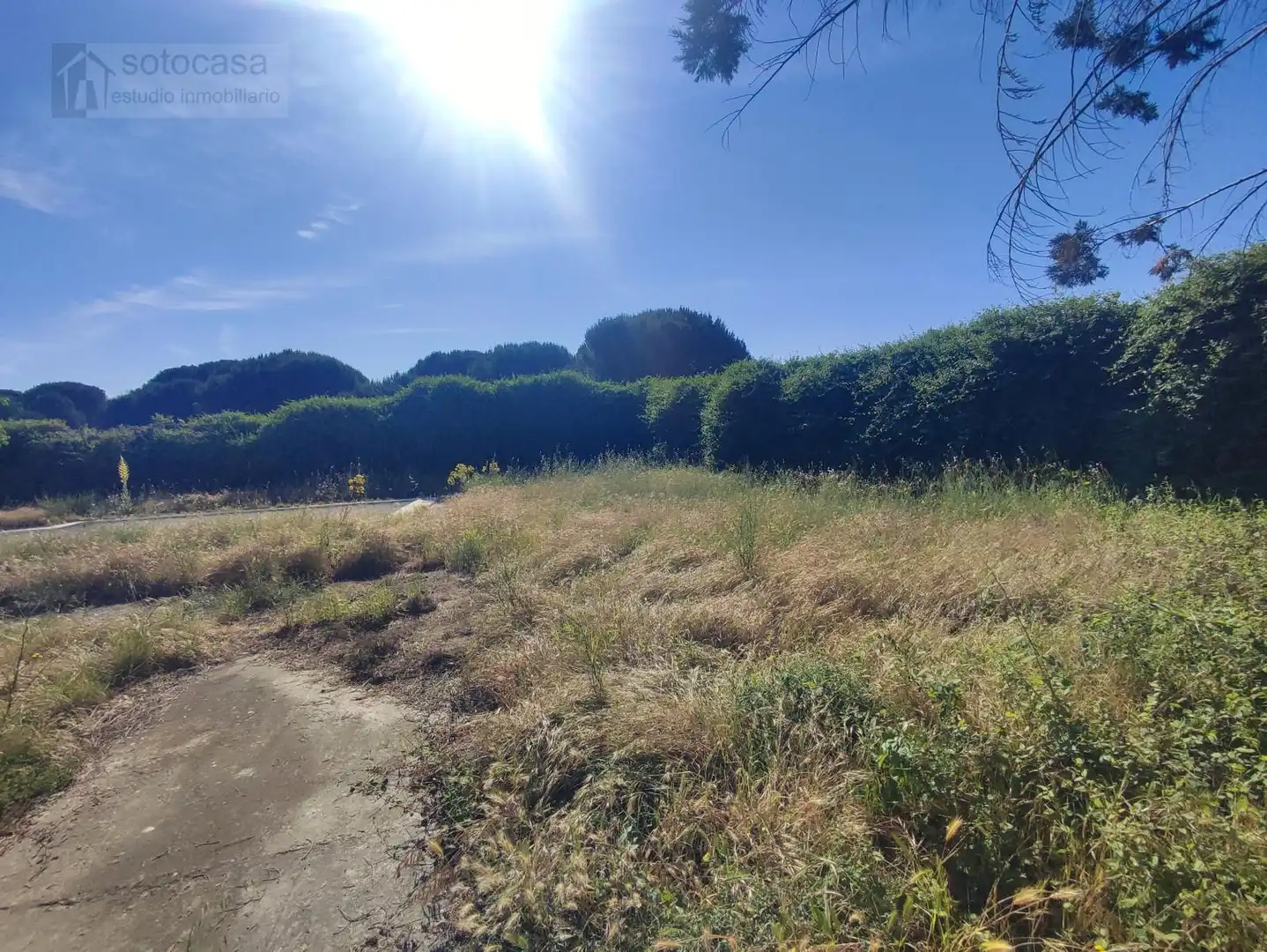Casa o xalet en venda en Traspinedo amb Calefacció, Jardí privat i Piscina