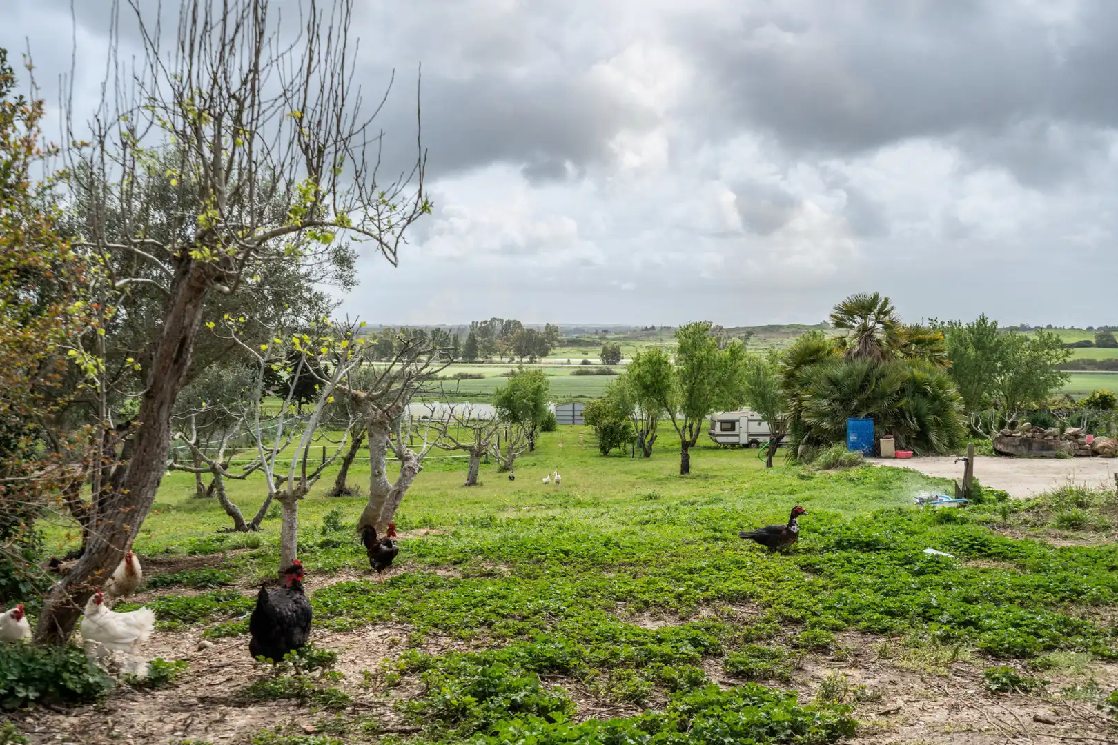 Casa o xalet en venda en Chiclana de la Frontera amb Aire condicionat, Calefacció i Jardí privat