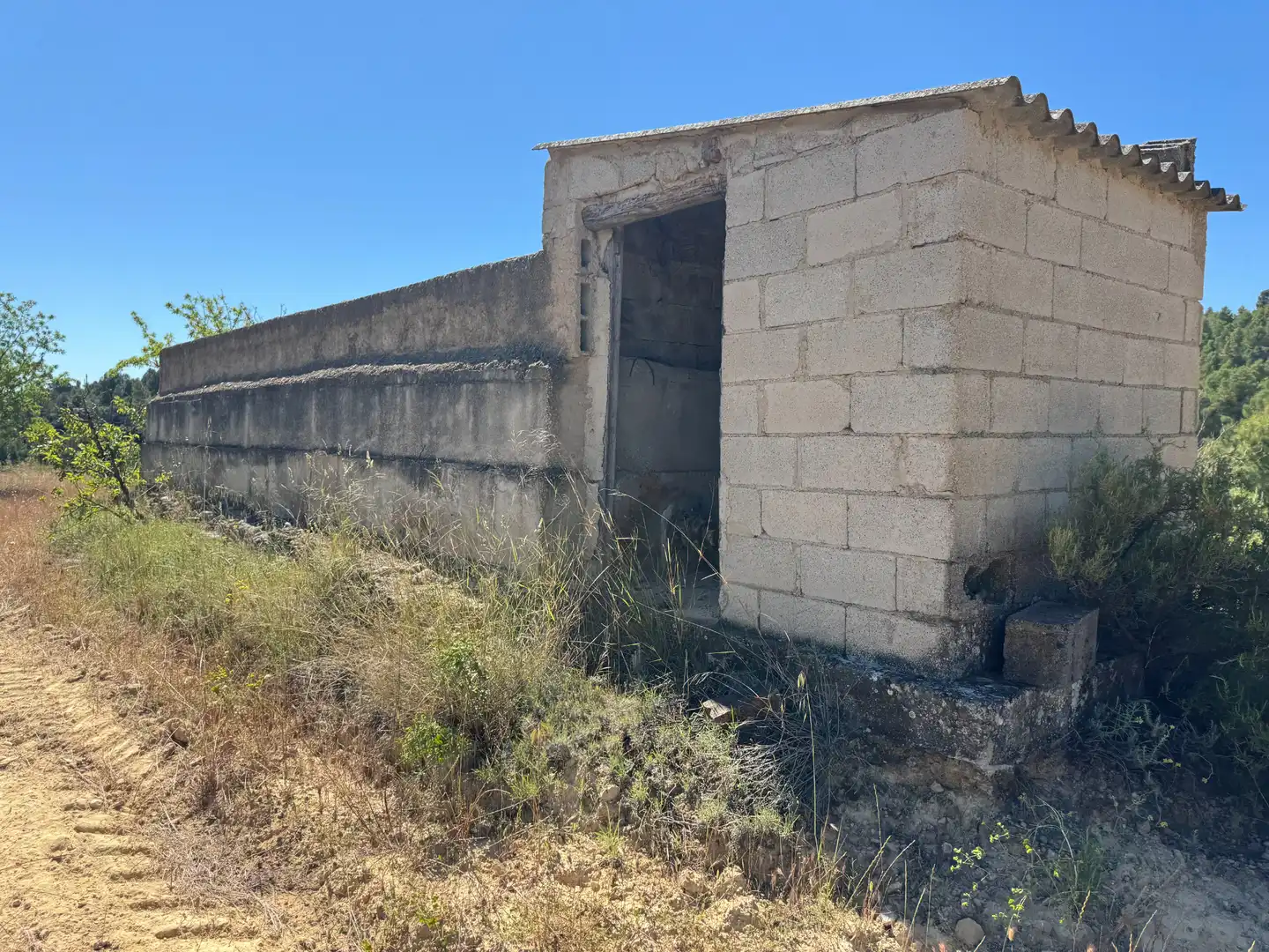 Terreno rustico in vendita a Avenida Virgen de Gracia 17B, imagen 3