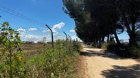 Vista exterior de Finca rústica en venda en Los Palacios y Villafranca