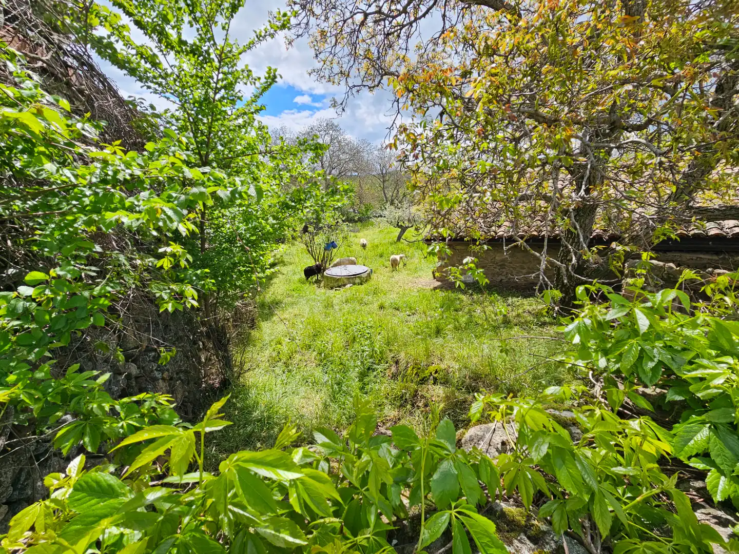 Residencial en venda en La Serna del Monte