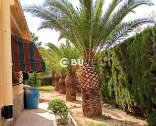 Jardí de Casa o xalet en venda en Mutxamel amb Aire condicionat, Calefacció i Terrassa
