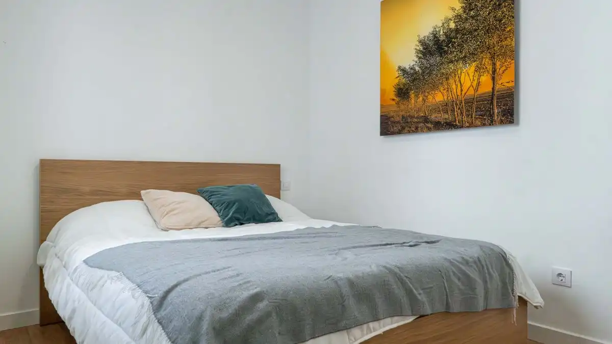 Flat with lift for sale in C. de Hermosilla, imagen 23
