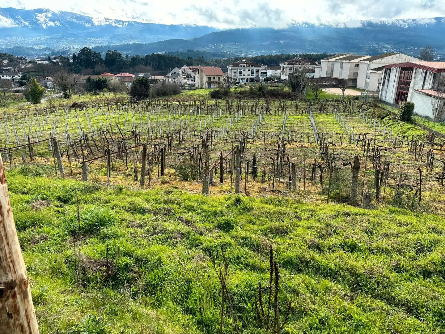 Rural land for sale in Arbo, imagen 19