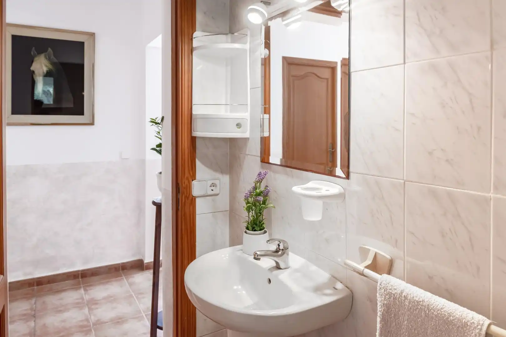 Houses for sale in Porto Cristo