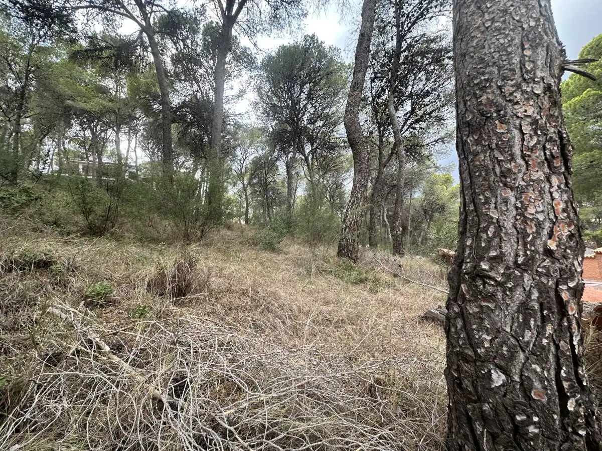 Wohnbaugrundstück zum Verkauf in Torres Torres, imagen 26