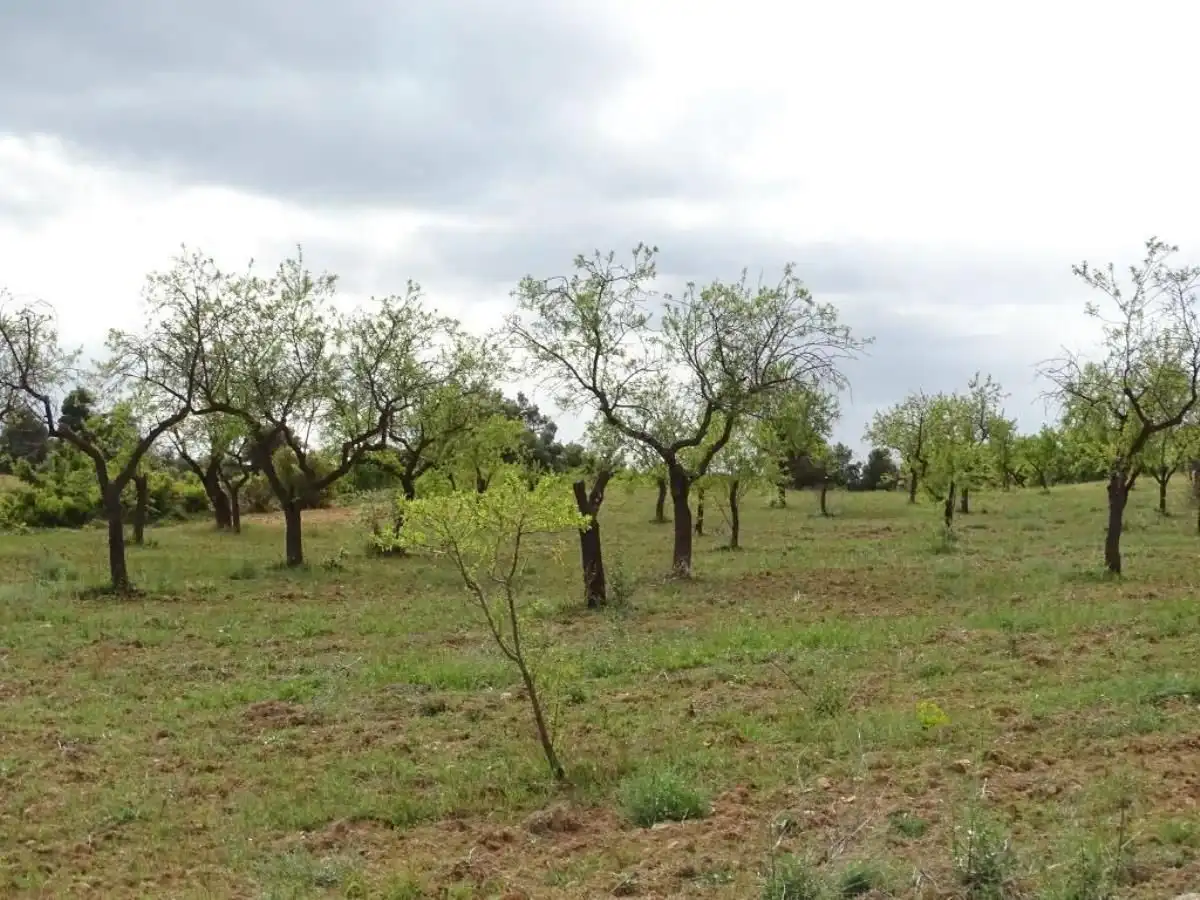 Finca rústica en venta en Cretas
