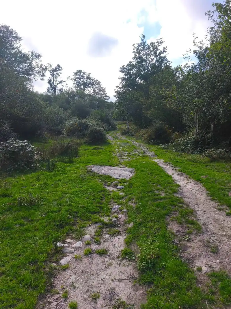 Villa avec jardin à vendre à Rionansa, imagen 4