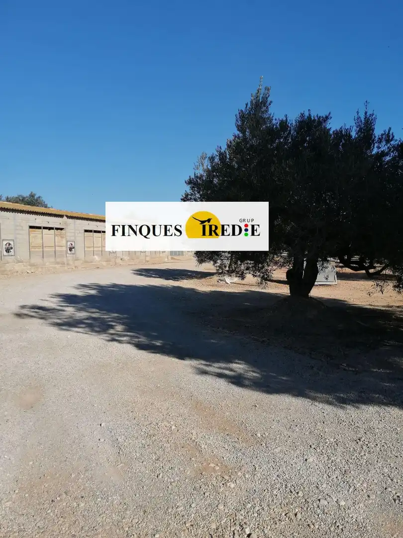 Business premises for sale in L'Ampolla, imagen 16