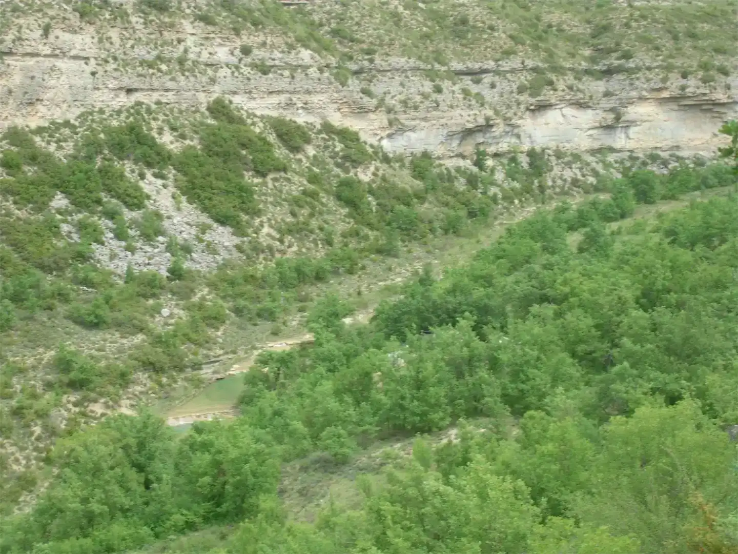 Vista exterior de Finca rústica en venda en Sant Esteve de la Sarga, Lleida