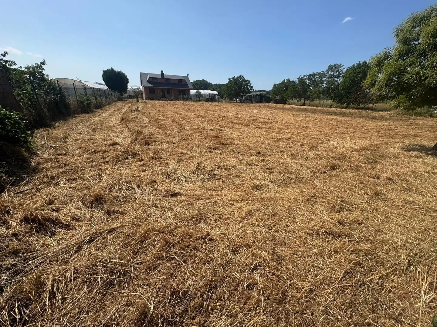 Terreni e lotti in vendita a Zona Alta, imagen 3