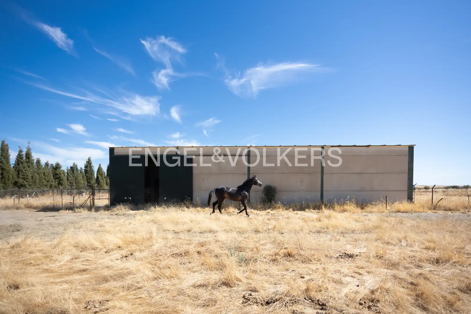 Vista exterior de Finca rústica en venta en Llerena con Calefacción, Jardín privado y Trastero