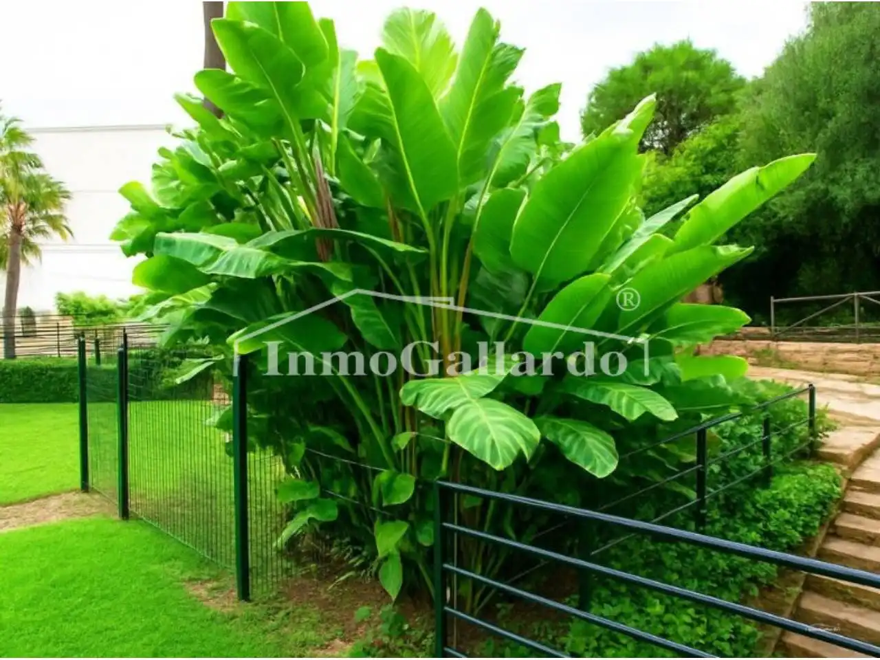 Jardín de Apartamento en venta en Rincón de la Victoria con Aire acondicionado, Calefacción y Terraza