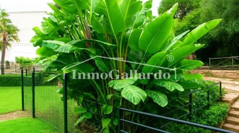 Foto 4 de Apartamento en venta en Añoreta Baja, Rincón de la Victoria