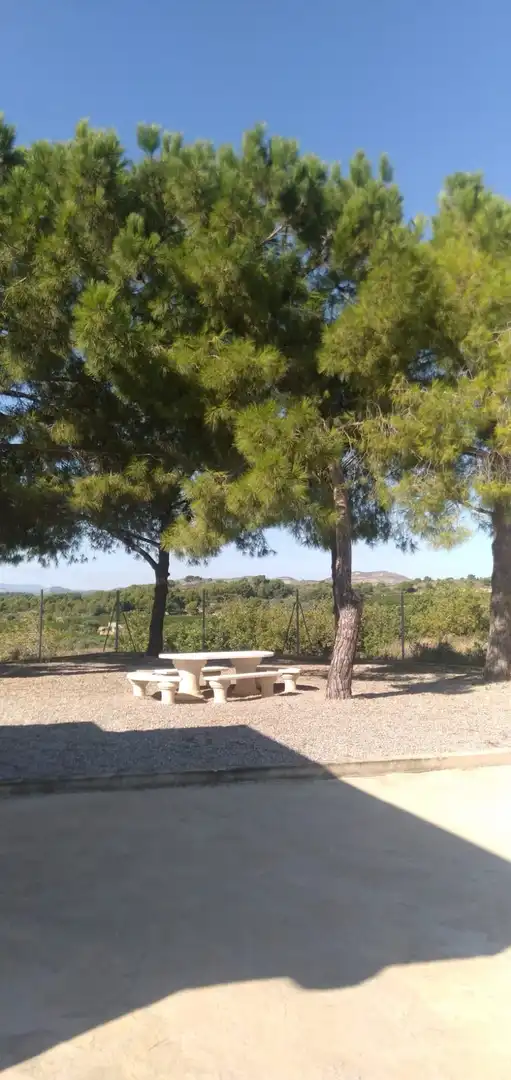 Jardín de Finca rústica en venta en Pedralba con Jardín privado, Terraza y Trastero