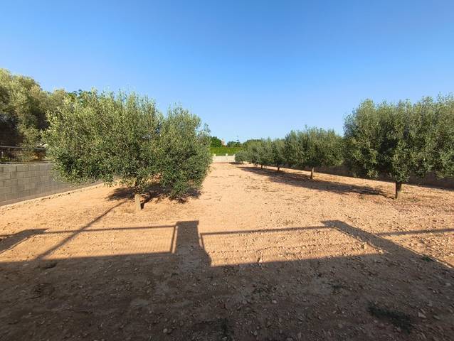 Terreno residencial en Venta en Montferri