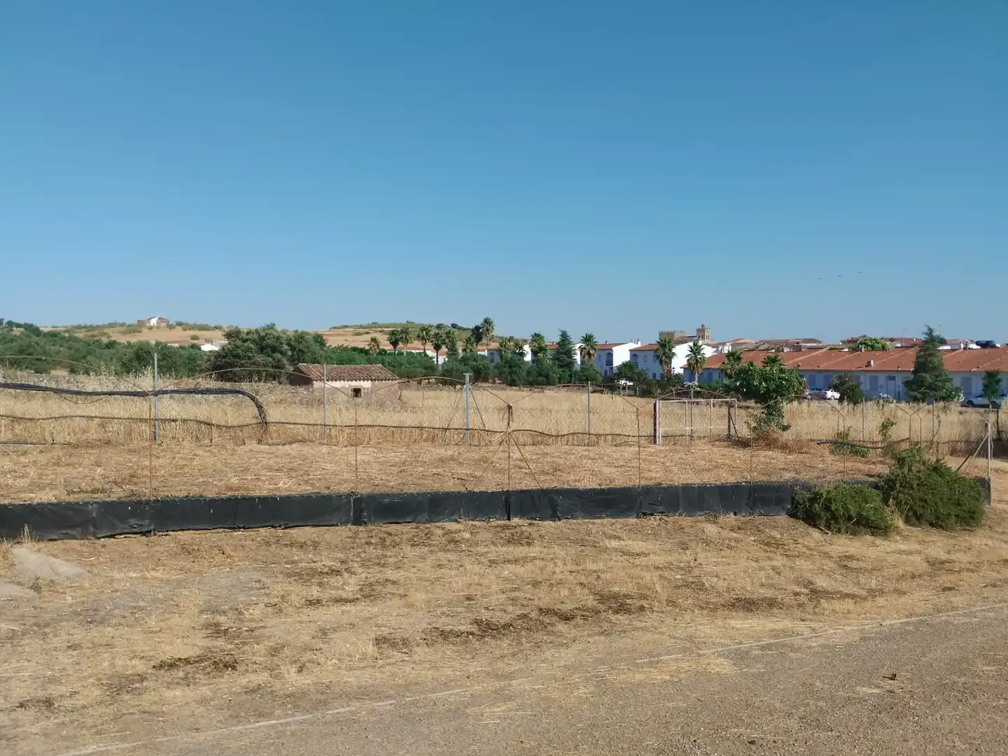 Finca rústica en venda en Atalaya amb Jardí privat i Traster
