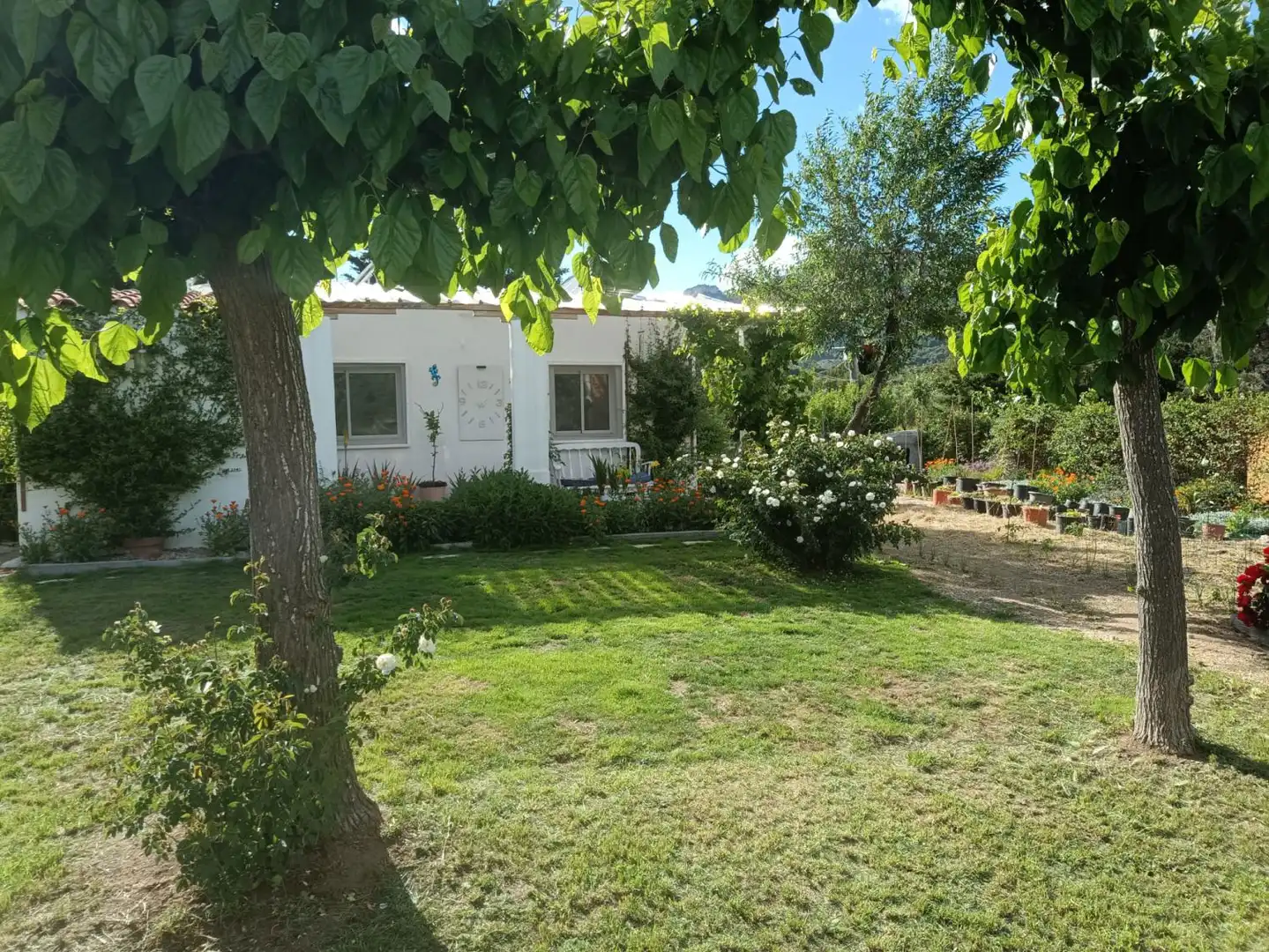 Casa in vendita a Alforja, imagen 3