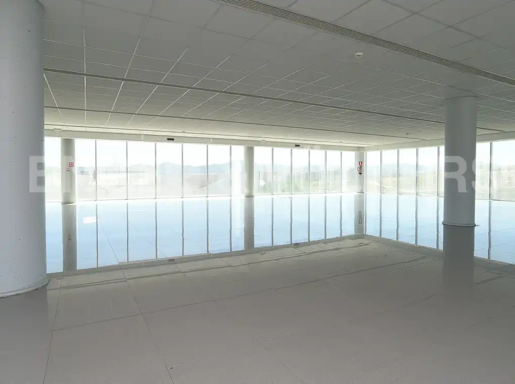 Piscina de Nave industrial en venta en Sant Just Desvern