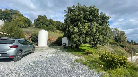 Foto 5 de Finca rústica en venta en Almayate, Vélez-Málaga