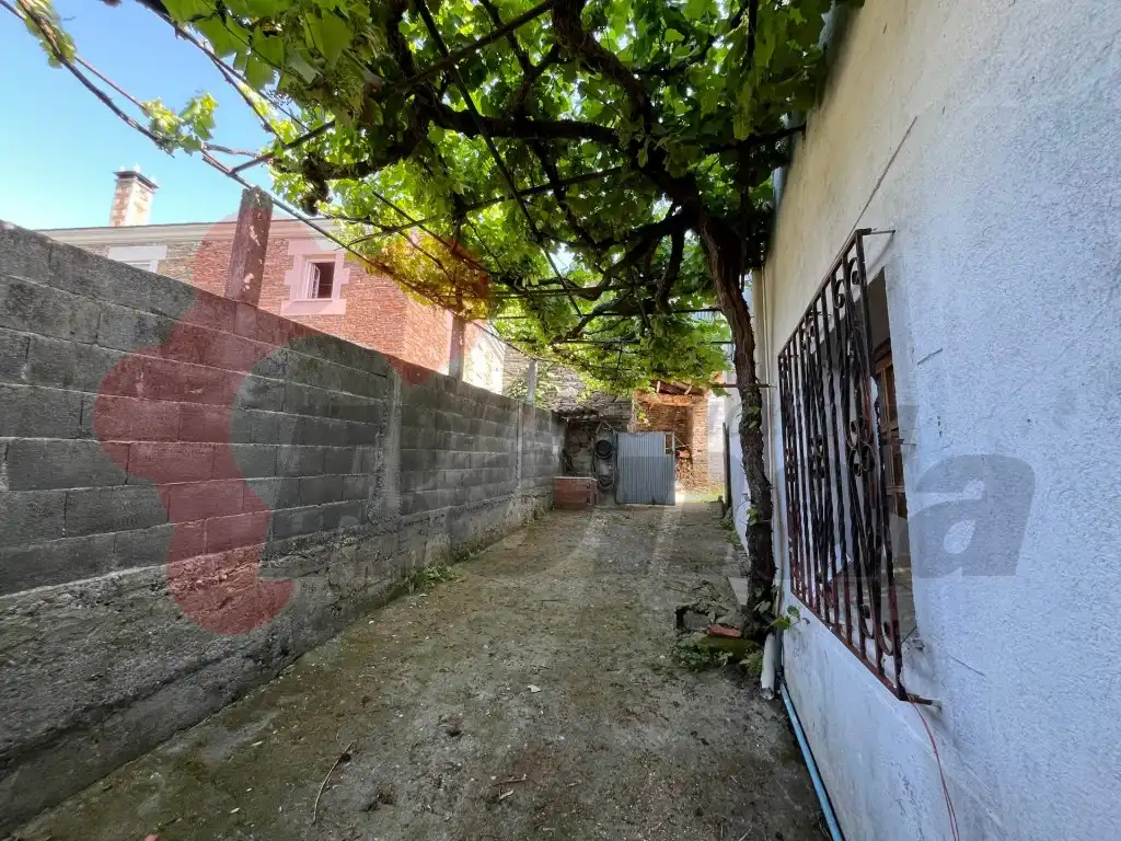 Jardín de Casa o chalet en venta en Guntín