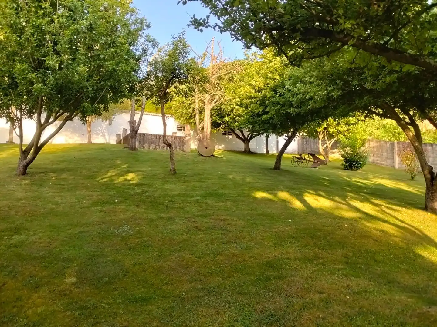 Garden of Commercial properties for sale in Salas
