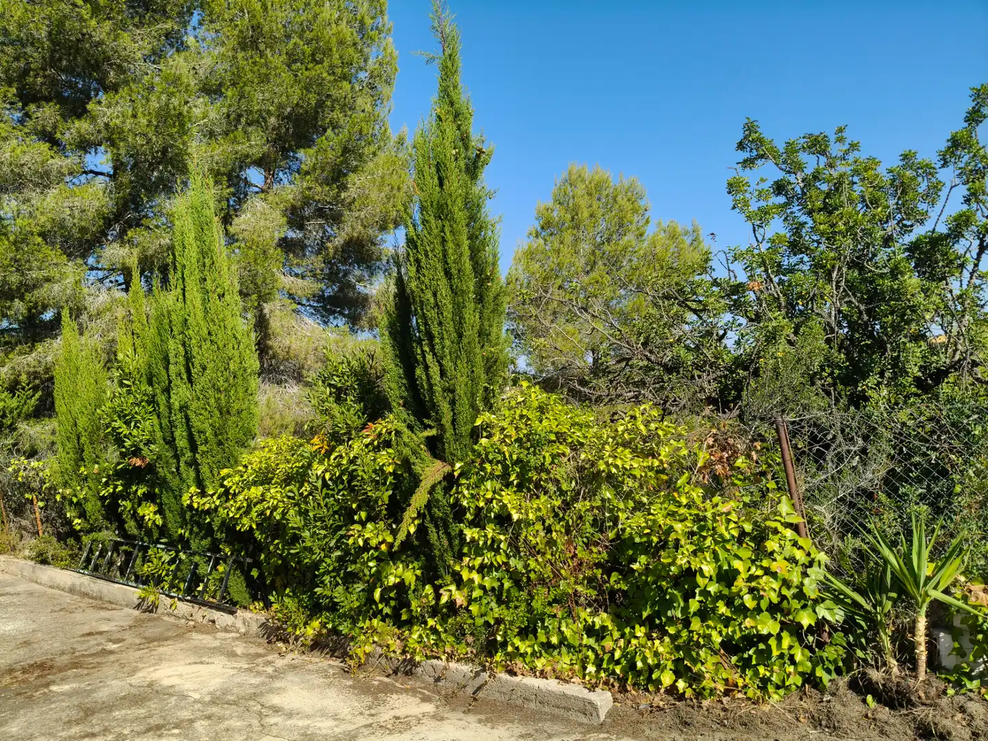 Villa avec piscine à vendre à Turís, imagen 45