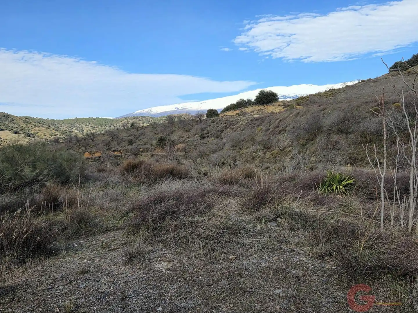 Finca rústica en venda a Torvizcón