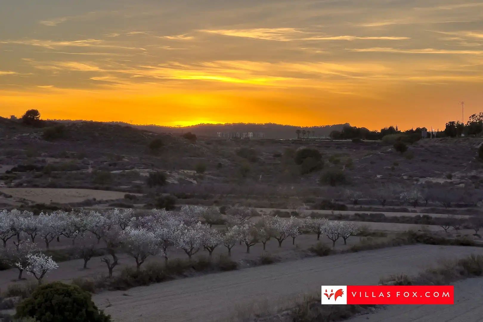 Casa en venda a San Miguel de Salinas, imagen 49