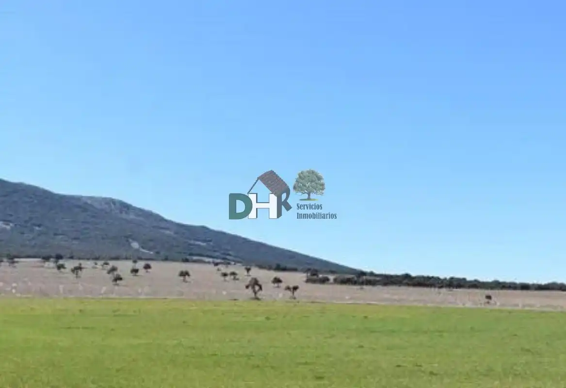 Terrenos y solares en venta en Los Cigarrales - La Bastida, imagen 2