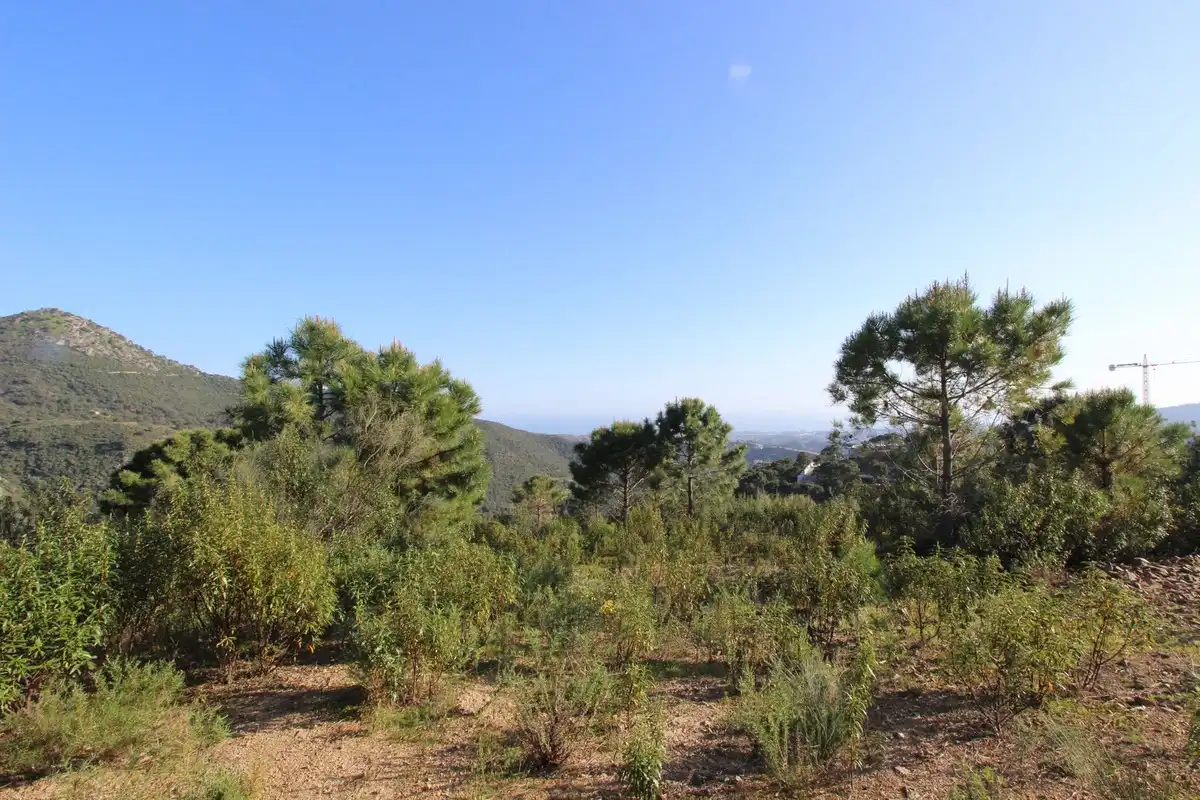 Terrenys i solars en venda a Benahavís pueblo, imagen 17