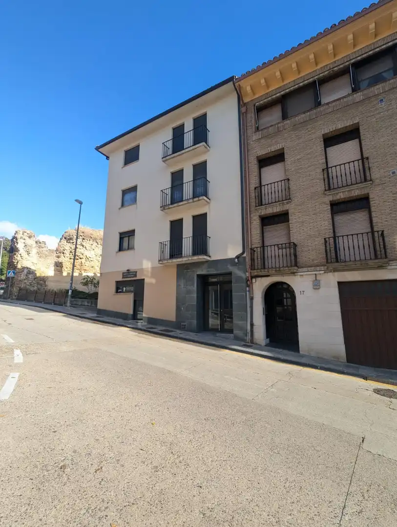 Pis amb terrassa en venda a Estella / Lizarra, imagen 5