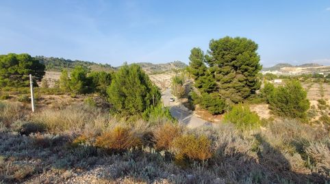SE VENDE FINCA RUSTICA EN EL NIÑO DE MULA, imatge 3