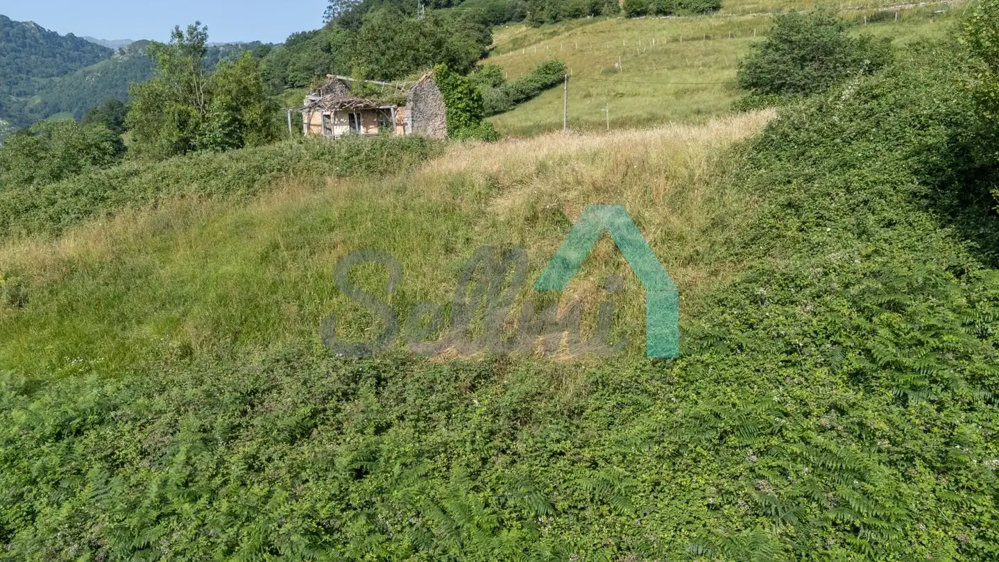 Casa o xalet en venda en Mieres (Asturias) amb Jardí privat i Terrassa