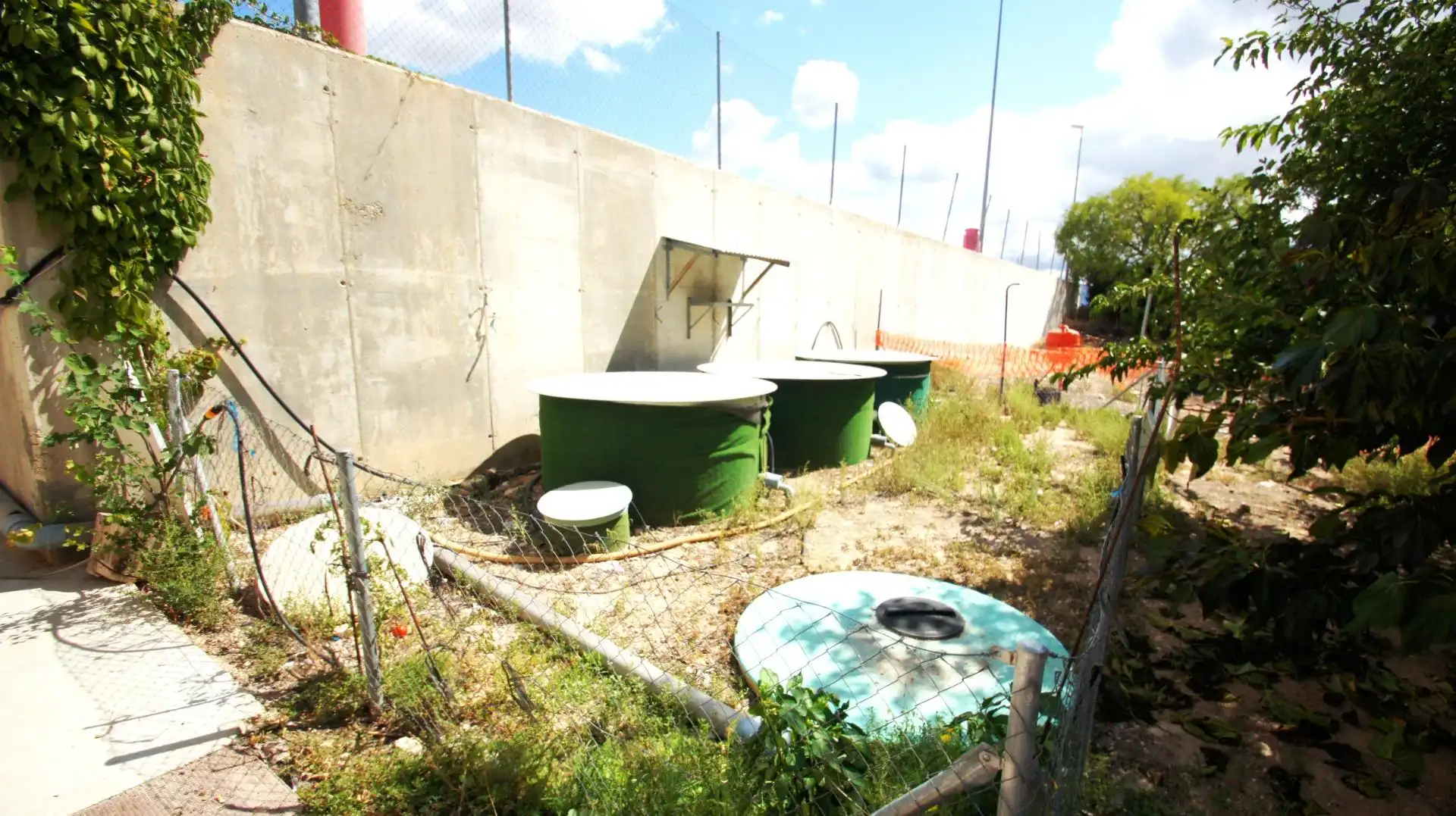 Business premises for sale in Sax, imagen 34