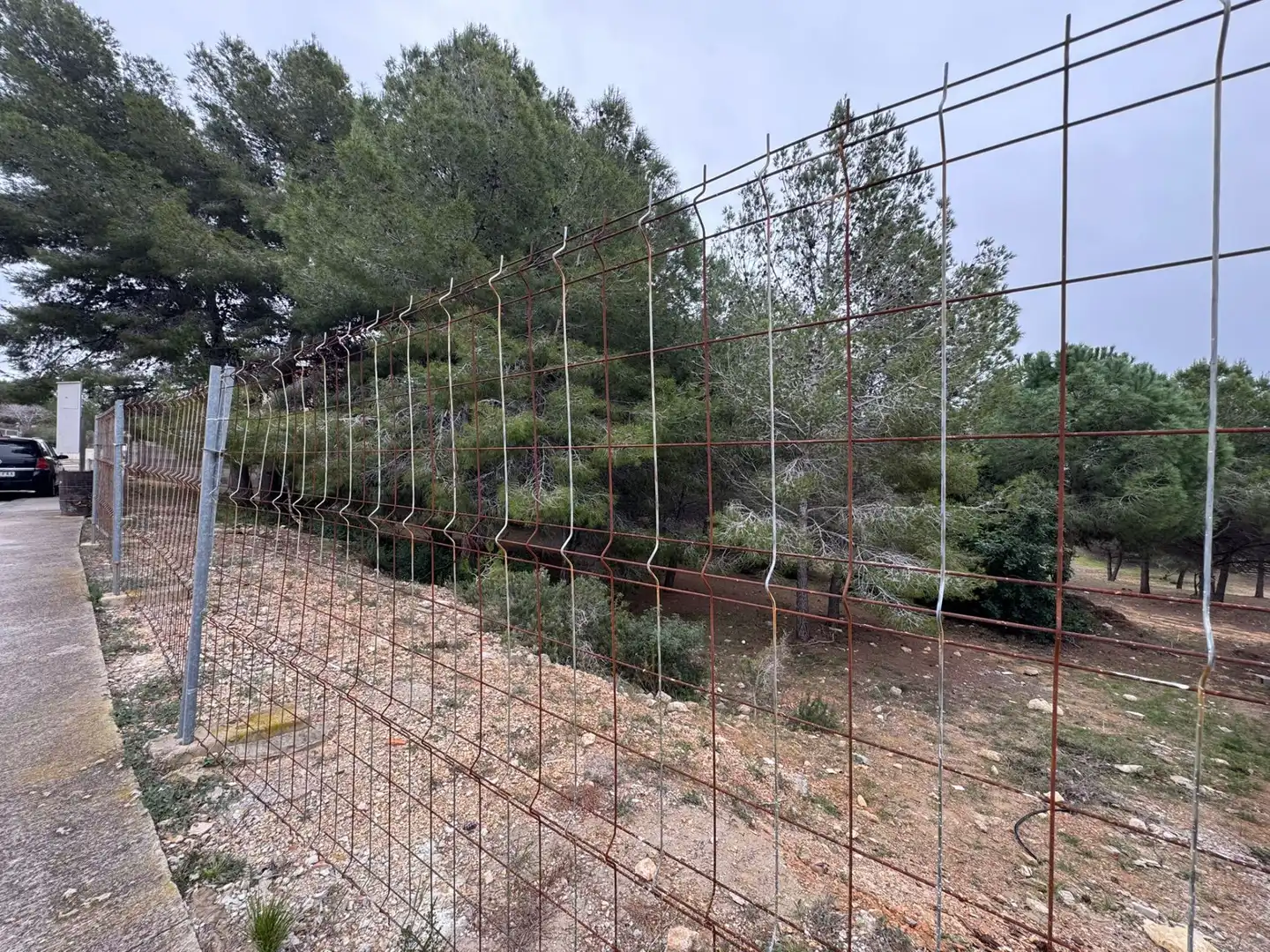 Terrenys i solars en venda a Ciutat Jardí Bonanova, imagen 2